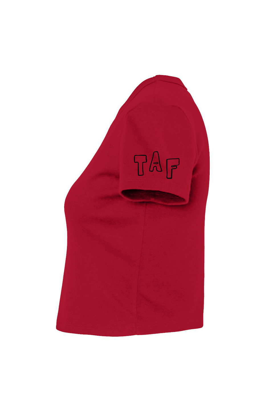 Tampa Animation Festival 2026 Birds Women's Baby Tee Red 